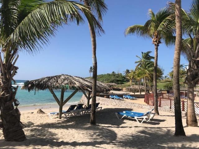 Gwada Cocoon & Blue Lagoon, 2 Studios Cote A Cote Au Manganao A St Francois & Choisissez Le Plus Adapte Saint-Francois  Εξωτερικό φωτογραφία